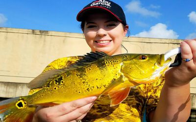 Backwater Canal Bass Fishing Charter in Miami Florida
