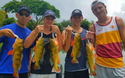 Great Miami Bass Fishing in South Florida for Exotics