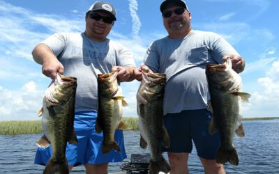 Late Summer Okeechobee Bass Fishing in Central Florida