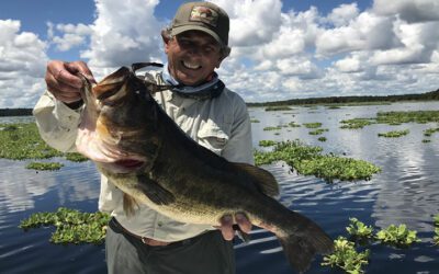 September North Florida Trophy Bass Fishing