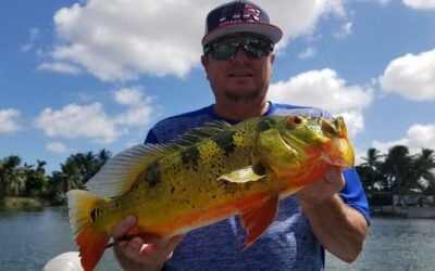 Bucket List Fishing Trip in Miami for Florida Peacock Bass