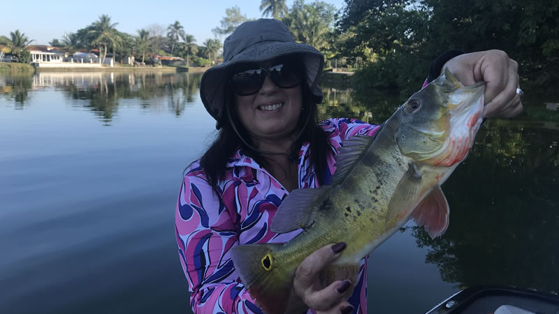 Fall Peacock Bass Fishing 3