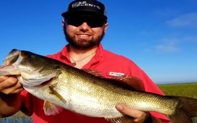 Shallow Water Fishing Charters for Lake Okeechobee Bass