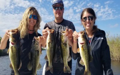 Deep Everglades Bass Fishing in South Florida | Bass Online