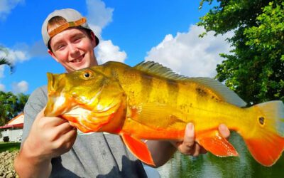 Giant Peacock Bass Fishing in Miami International Airport Lakes