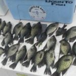 Mark Twain Lake thumbnail