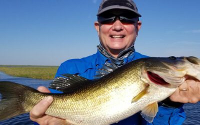 November Okeechobee Fishing Report for Largemouth Bass