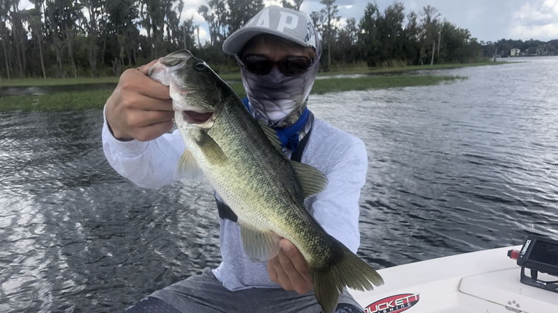 November Orlando Artificial Fishing for Largemouth Bass 2 November Orlando Artificial Fishing 2