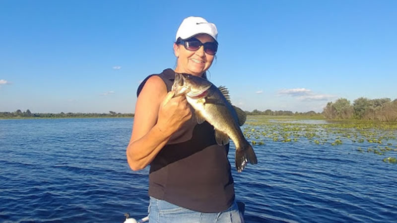 Split Artificial Kissimmee Fishing on Lake Tohopekaliga 9 Split Artificial Kissimmee Fishing 3