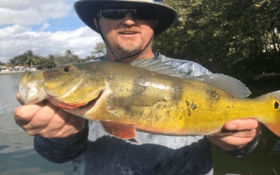 Bucket List Peacock Fishing Charter in South Florida