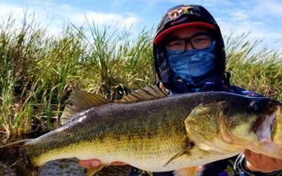 North End Artificial Fishing Charter While Lake Okeechobee Bass Fishing