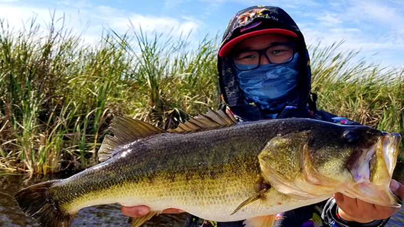 North End Artificial Fishing Charter While Lake Okeechobee Bass Fishing