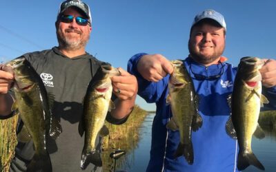 Weekend Everglades Bass Fishing During Florida Holidays