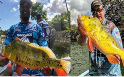 Navionics Peacock Bass Fishing Charter in Miami, FL