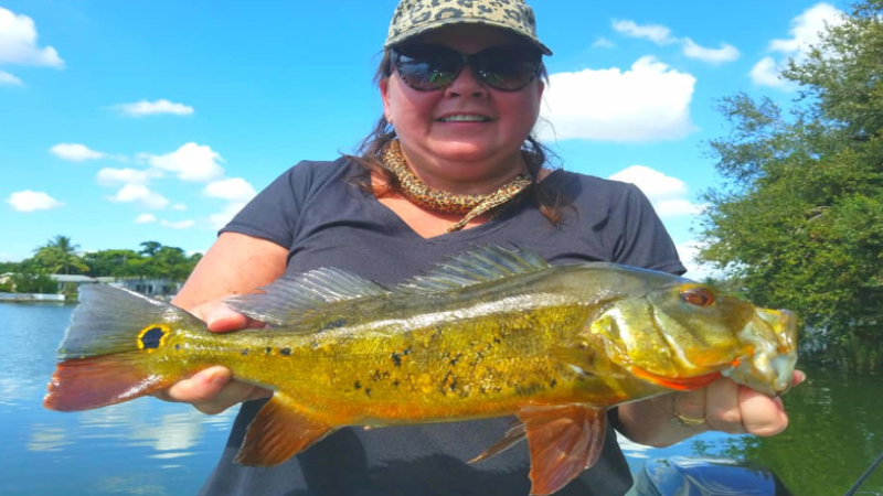 Snapper Creek Canal photo