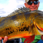 Aerojet Canal thumbnail