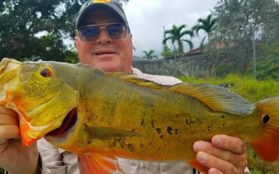 Blue Lagoon Fishing Charters for Exotic Florida Peacock Bass