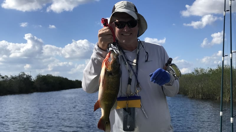 Alligator Alley 41 photo