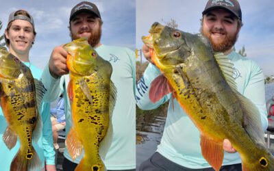 January Airport Lakes Fishing Charters in Miami, FL for Peacock Bass
