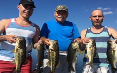 January Lake Okeechobee Update for Largemouth Bass Fishing