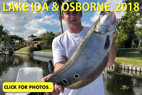 2018 Lake Ida Peacock Bass Pictures