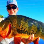 Airport Lakes thumbnail