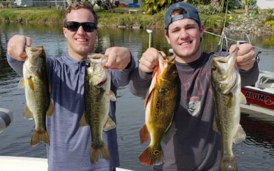 Naples Bass Fishing Adventures in Golden Gate Canals