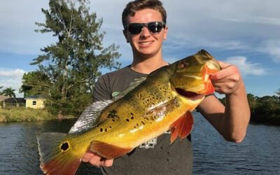 Naples Friendly Peacock Bass Fishing Adventure in Florida