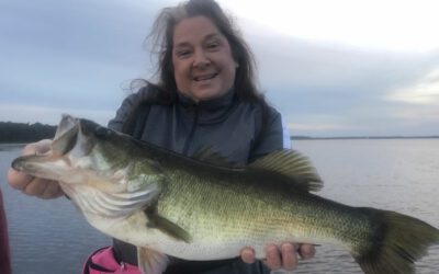 Weekly Kissimmee Fishing Report for Lake Toho Bass Fishing