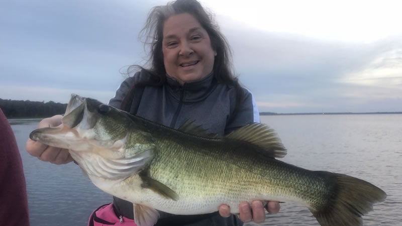 Weekly Kissimmee Fishing Report for Lake Toho Bass Fishing