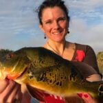 Golden Gate Canal thumbnail