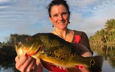 February Golden Gate Fishing for Peacock Bass in Naples, FL