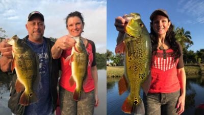 cape coral fl fishing charter