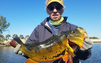 February Peacock Bass Fishing Trips in Miami, FL