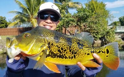 February Peacock Fishing Charters with Local Experts in Miami, FL