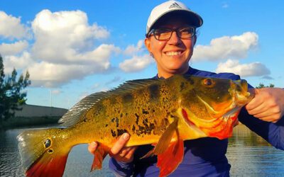 Ninja Warrior Peacock Bass Fishing in Miami, FL