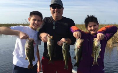 Sawgrass Recreational Bass Fishing in South Florida