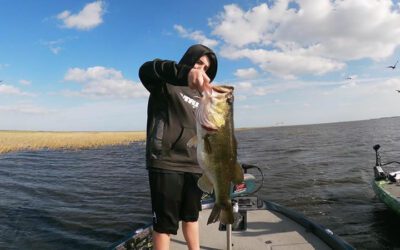 Okeechobee City Fl