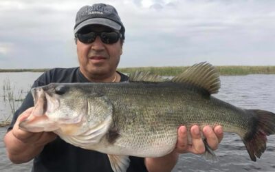 Two Boat Okeechobee Fishing Charters for Trophy Largemouth Bass