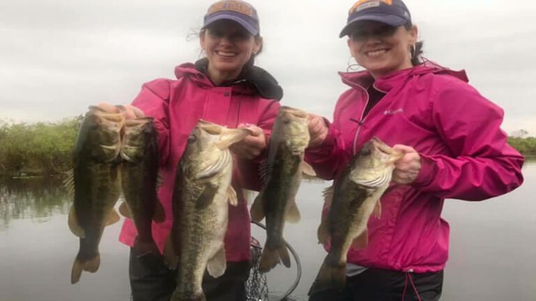 Big Numbers Everglades Fishing