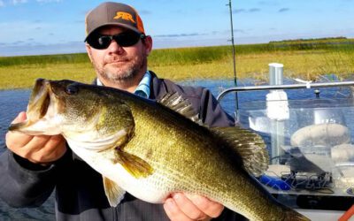 Blue Bird Sky Fishing for Largemouth Bass on Lake Okeechobee