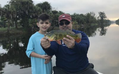 Golden Gate Peacock Fishing in Naples, Florida with Local Experts