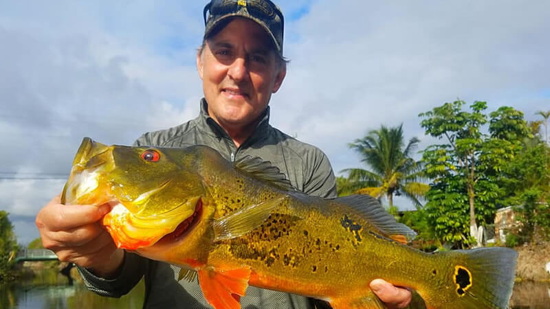 Peacock Bass Spawn Fishing 4