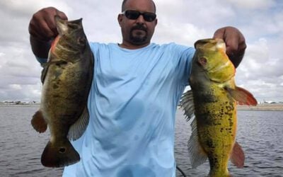 Peacock Heaven Fishing Charters in Miami, Florida