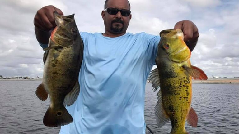 Peacock Heaven Fishing Charters