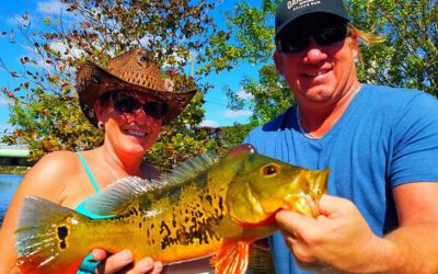 Three Different Species Fishing Charters in Miami, FL