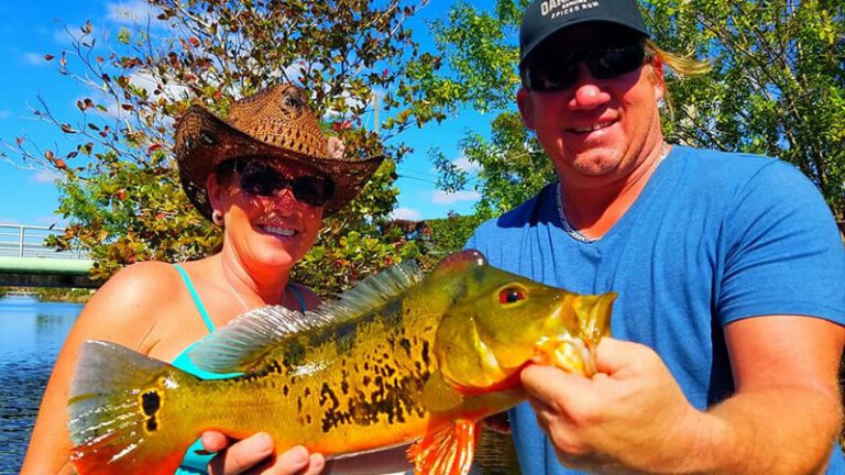 Three Different Species Fishing