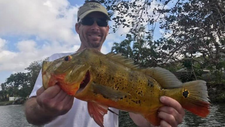 Blue Lagoon Slam Fishing