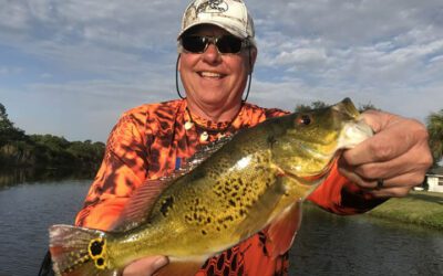 Naples Bucket List Fishing Adventure for Florida Peacock Bass