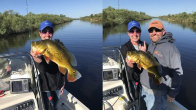 Everglades Peacock Fishing Adventure 3